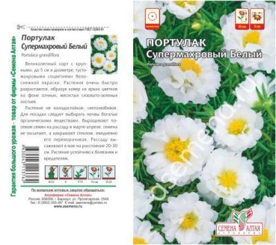 Портулак Супермахровый белый (цветной пакет) 0,1г; Семена Алтая фото в интернет-магазине Флоранж