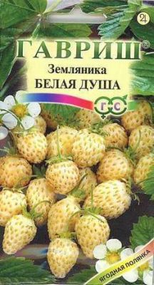 Земляника Белая душа (цветной пакет) 0,03г; Гавриш фото в интернет-магазине Флоранж