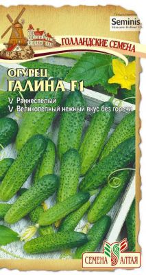 Огурец Галина F1 (цветной пакет) 5шт; Семена Алтая фото в интернет-магазине Флоранж