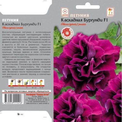Петуния махровая Бургунди F1 (цветной пакет) 10шт; Семена Алтая фото в интернет-магазине Флоранж