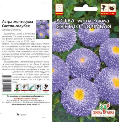Астра Монтесума (цветной пакет) 0,15г; Семена Алтая фото в интернет-магазине Флоранж