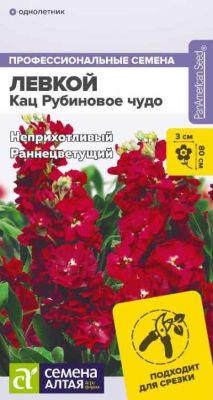Левкой Кац Рубиновое чудо махровый (цветной пакет) 8шт; Семена Алтая фото в интернет-магазине Флоранж