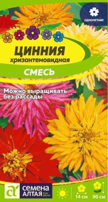 Цинния Хризантемовидная смесь (цветной пакет) 0,3г; Семена Алтая фото в интернет-магазине Флоранж
