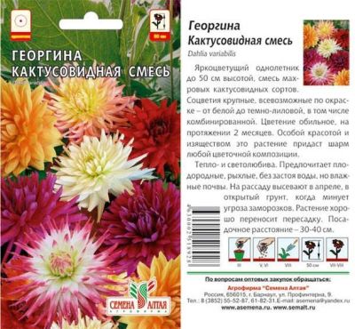 Георгина Кактусовидная (цветной пакет) 0,1г; Семена Алтая фото в интернет-магазине Флоранж