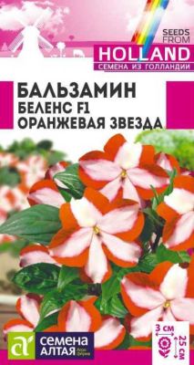Бальзамин Беленс Оранжевая звезда (цветной пакет) 5шт; Семена Алтая Голландия  фото в интернет-магазине Флоранж