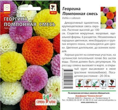 Георгина Помпонная (цветной пакет) 0,2г; Семена Алтая фото в интернет-магазине Флоранж