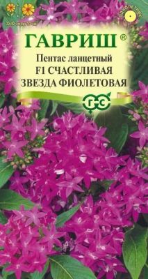Пентас ланцетный Счастливая звезда фиолетовая F1 (цветной пакет) 3шт; Гавриш фото в интернет-магазине Флоранж