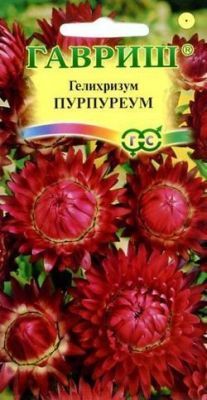 Гелихризум Пурпуреум (цветной пакет) 0,1г; Гавриш фото в интернет-магазине Флоранж
