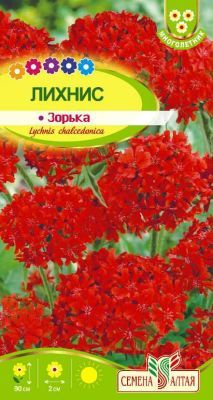 Лихнис халцедонский Зорька (цветной пакет) 0,1г; Семена Алтая фото в интернет-магазине Флоранж