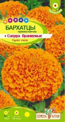 Бархатцы Сиерра Оранжевые (цветной пакет) 0,3г; Семена Алтая фото в интернет-магазине Флоранж