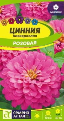 Цинния Низкорослая Розовая (цветной пакет) 0,3г; Семена Алтая фото в интернет-магазине Флоранж