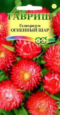 Гелихризум Огненный шар (цветной пакет) 0,1г; Гавриш фото в интернет-магазине Флоранж