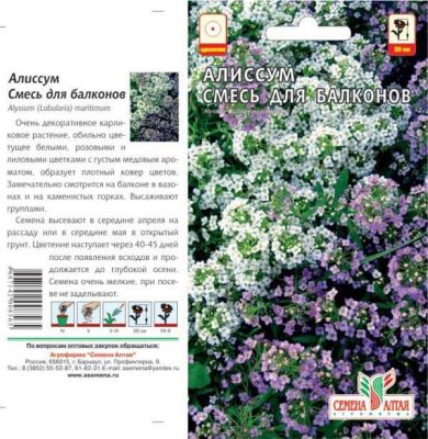 Алиссум Смесь для балконов (цветной пакет) 0,2г; Семена Алтая фото в интернет-магазине Флоранж