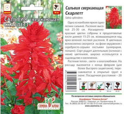 Сальвия Скарлетт (цветной пакет) 0,1г; Семена Алтая фото в интернет-магазине Флоранж