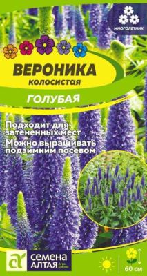 Зелень Вероника Голубая колосистая (цветной пакет) 0,1г; Семена Алтая фото в интернет-магазине Флоранж