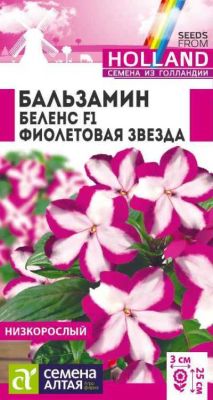 Бальзамин Беленс Фиолетовая звезда (цветной пакет) 5шт; Семена Алтая Голландия  фото в интернет-магазине Флоранж