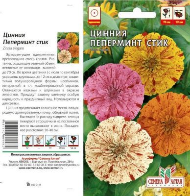 Цинния Пеперминт Стик (цветной пакет) 0,3г; Семена Алтая фото в интернет-магазине Флоранж