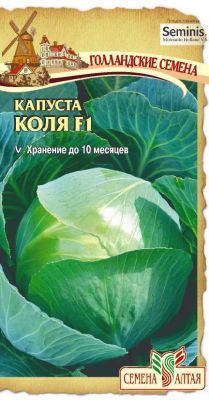 Капуста б/к Коля F1 (цветной пакет) 15шт; Семена Алтая фото в интернет-магазине Флоранж
