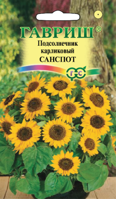Подсолнечник Санспот карликовый (цветной пакет) 0,5г; Гавриш фото в интернет-магазине Флоранж