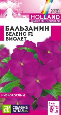 Бальзамин Беленс Виолет (цветной пакет) 5шт; Семена Алтая Голландия фото в интернет-магазине Флоранж