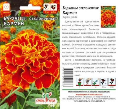 Бархатцы Кармен (цветной пакет) 0,3г; Семена Алтая фото в интернет-магазине Флоранж